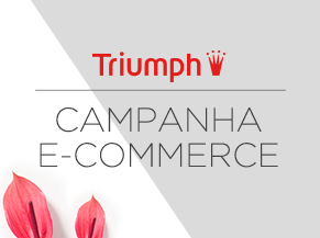 E-commerce Triumph